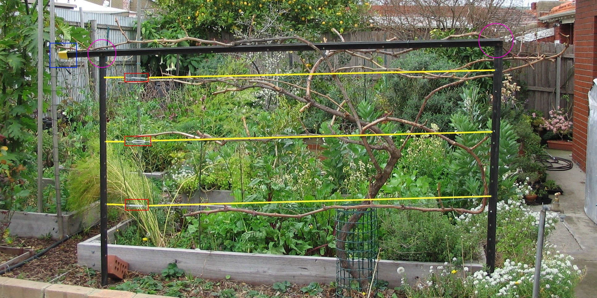 Yellow lines indicate the position of the wire supports