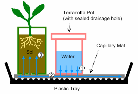 Watering Tray Schematic2