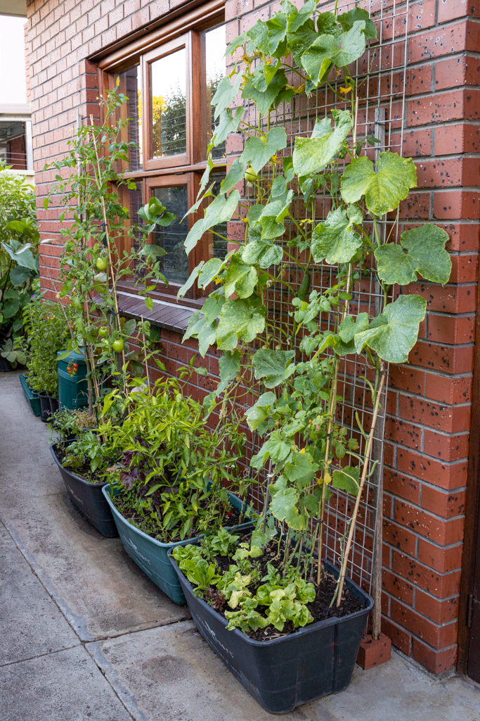 self watering garden planters with mesh support against wall